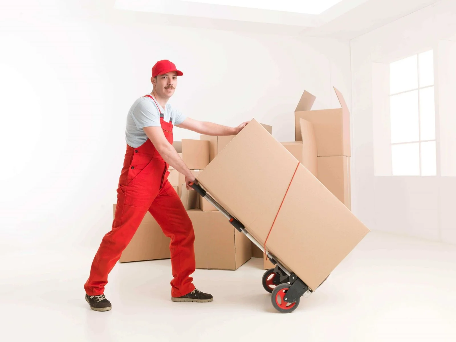 Trusted Packers and Movers